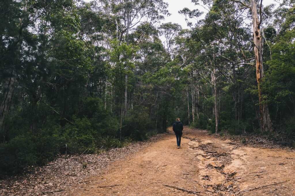 A man on a dirt path