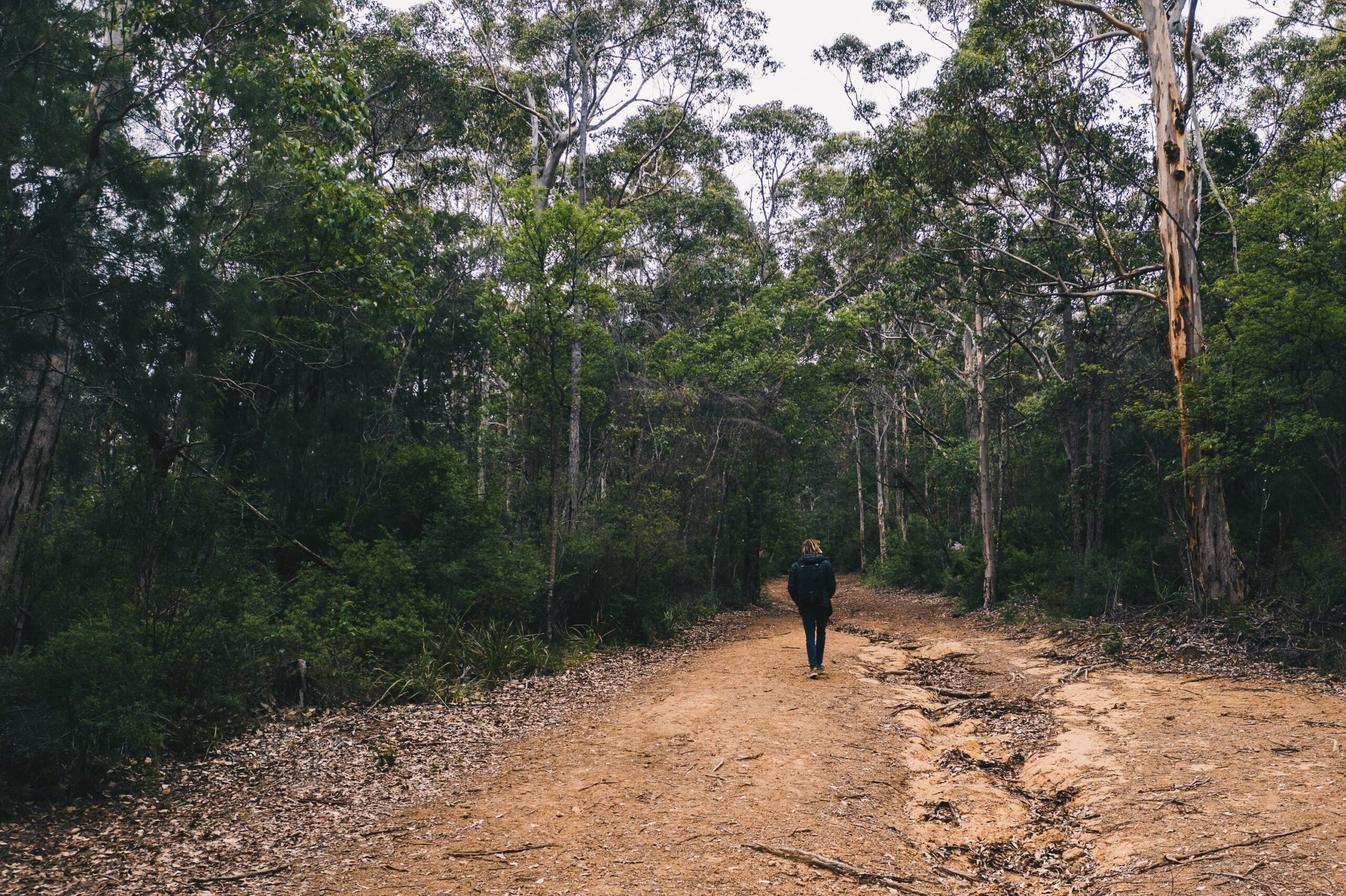 A man on a dirt path