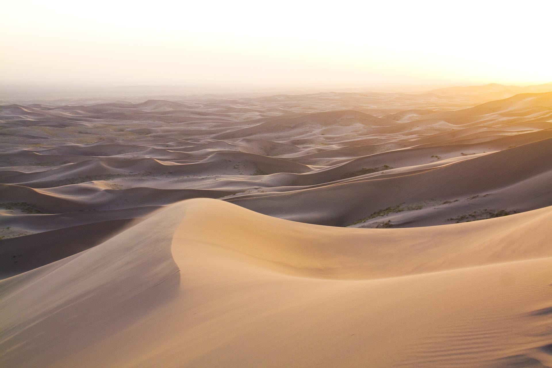 Most amazing deserts you need to visit Most amazing deserts you need to visit