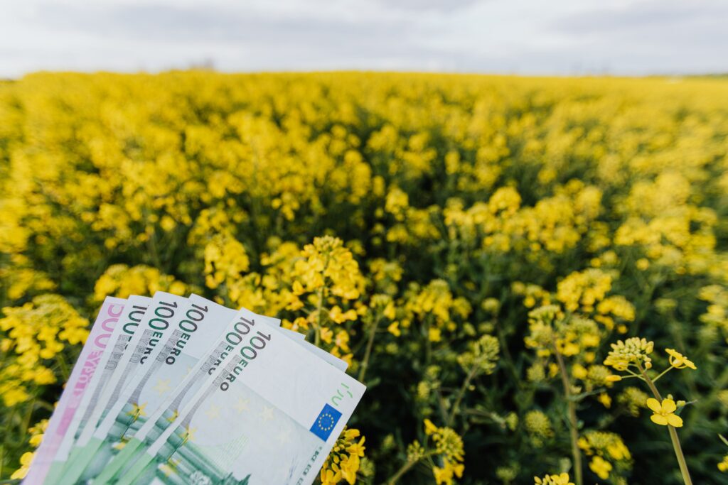 travel money by karolina grabowska from pexels