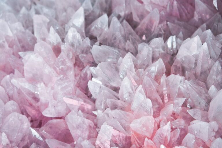 Didshttps://www.pexels.com/@didssshttps://images.pexels.com/photos/2942855/pexels-photo-2942855.jpeg