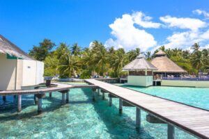 Asad Photo Maldiveshttps://www.pexels.com/@asadphotohttps://images.pexels.com/photos/1320686/pexels-photo-1320686.jpeg