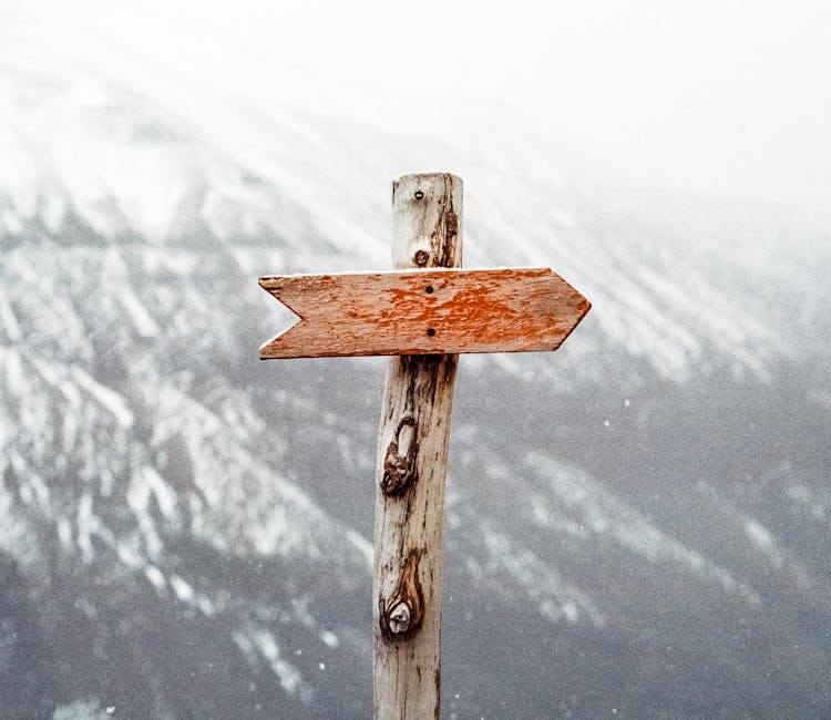 Jens Johnssonhttps://www.pexels.com/@jens-johnsson-14223https://images.pexels.com/photos/66100/pexels-photo-66100.jpeg