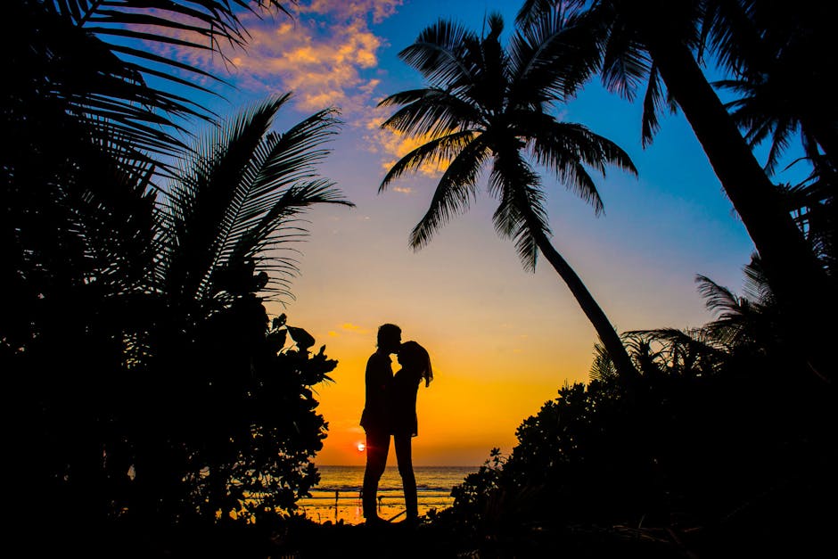 Asad Photo Maldiveshttps://www.pexels.com/@asadphotohttps://images.pexels.com/photos/1024975/pexels-photo-1024975.jpeg