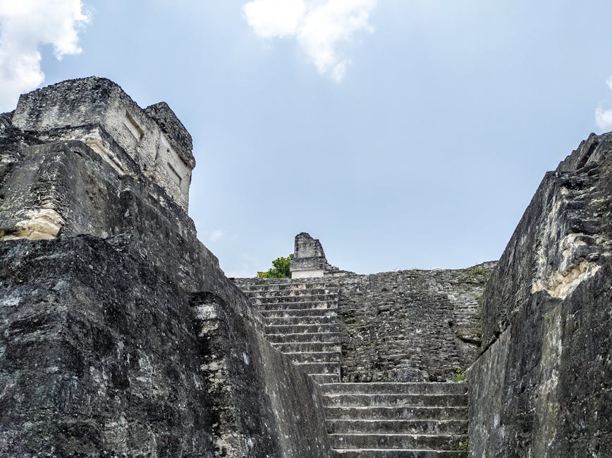 Matthias Stutzmanhttps://www.pexels.com/@matthias-stutzman-636258010https://images.pexels.com/photos/19098429/pexels-photo-19098429.jpeg