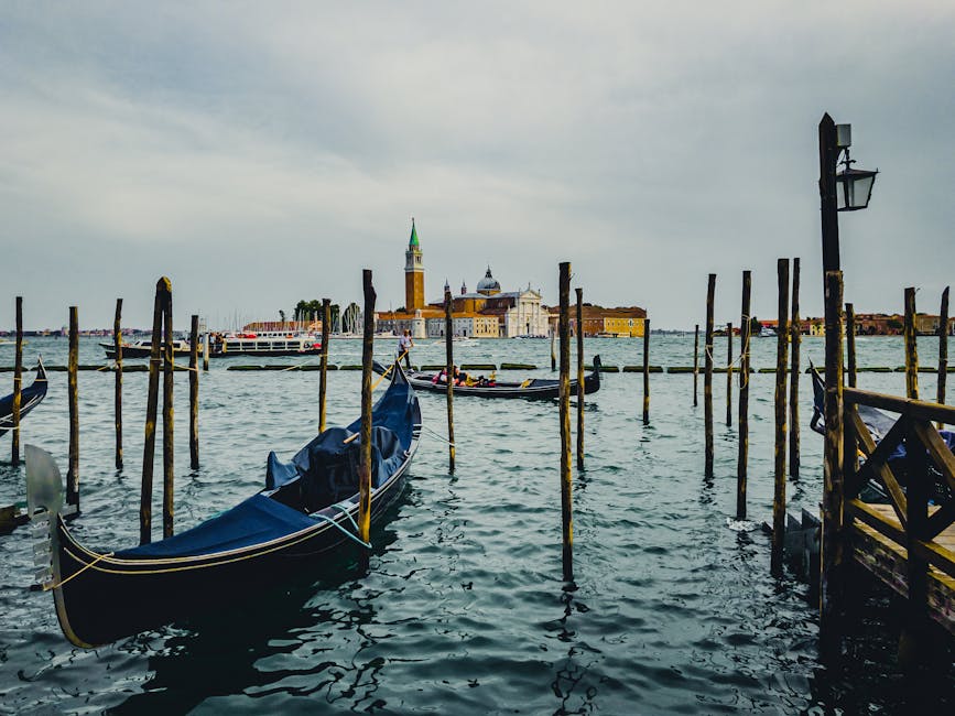 Jędrzej Koralewskihttps://www.pexels.com/@jedrzej-koralewski-14125120https://images.pexels.com/photos/18278606/pexels-photo-18278606.jpeg