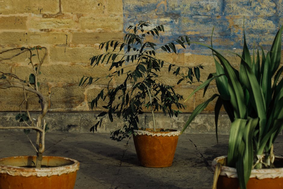 Plato Terentevhttps://www.pexels.com/@plato-terentev-3804555https://images.pexels.com/photos/5910302/pexels-photo-5910302.jpeg