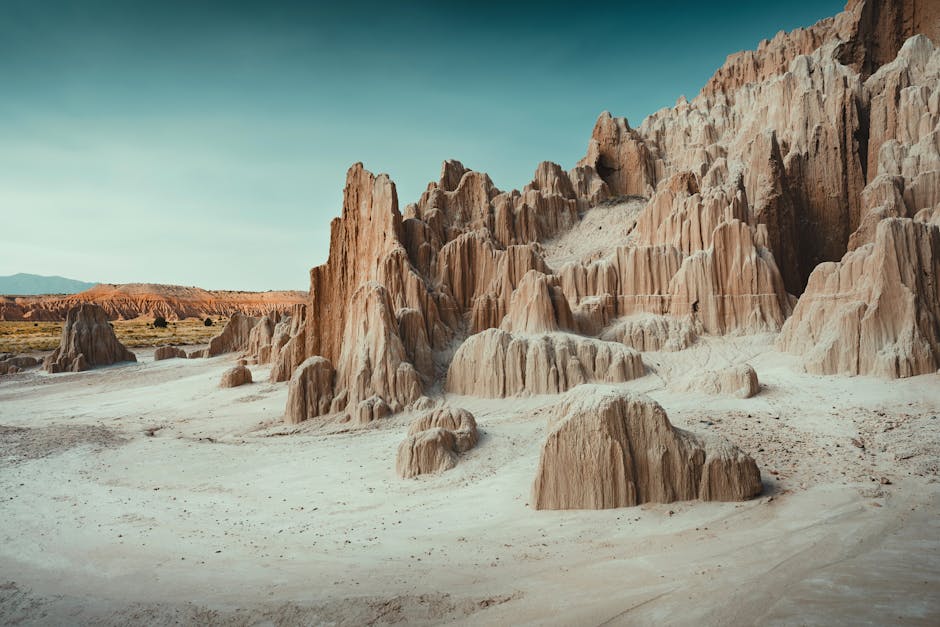 Roberto Lee Corteshttps://www.pexels.com/@lenzatichttps://images.pexels.com/photos/26967662/pexels-photo-26967662.jpeg