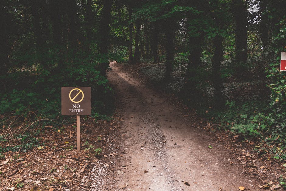 Craig Adderleyhttps://www.pexels.com/@thatguycraig000https://images.pexels.com/photos/29162605/pexels-photo-29162605.jpeg