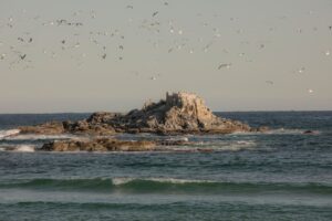 정규송 Nui MALAMAhttps://www.pexels.com/@nui-malama-169330637https://images.pexels.com/photos/29874520/pexels-photo-29874520.jpeg