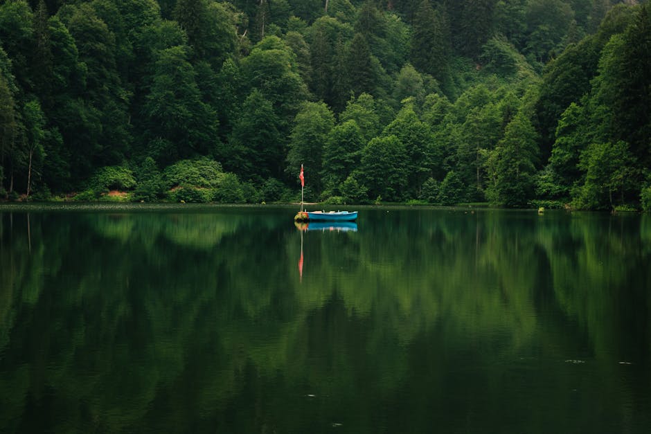 Levent Simsekhttps://www.pexels.com/@leventsimsekhttps://images.pexels.com/photos/20633198/pexels-photo-20633198.jpeg