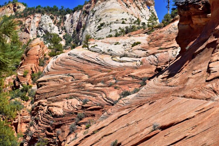 Jeffrey Eisenhttps://www.pexels.com/@jeffrey-eisen-1257101https://images.pexels.com/photos/22941577/pexels-photo-22941577.jpeg