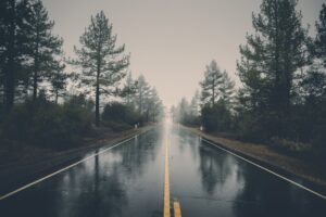 vee terzyhttps://www.pexels.com/@veeterzyhttps://images.pexels.com/photos/39811/pexels-photo-39811.jpeg