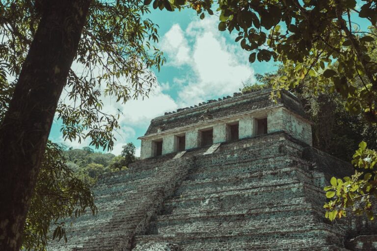 Los Muertos Crewhttps://www.pexels.com/@cristian-rojashttps://images.pexels.com/photos/7205915/pexels-photo-7205915.jpeg