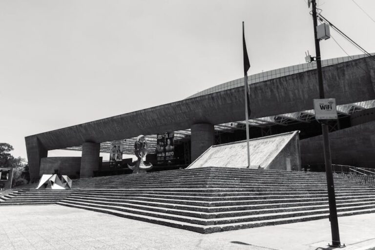 Israyosoy S.https://www.pexels.com/@israyosoyhttps://images.pexels.com/photos/21717684/pexels-photo-21717684.jpeg