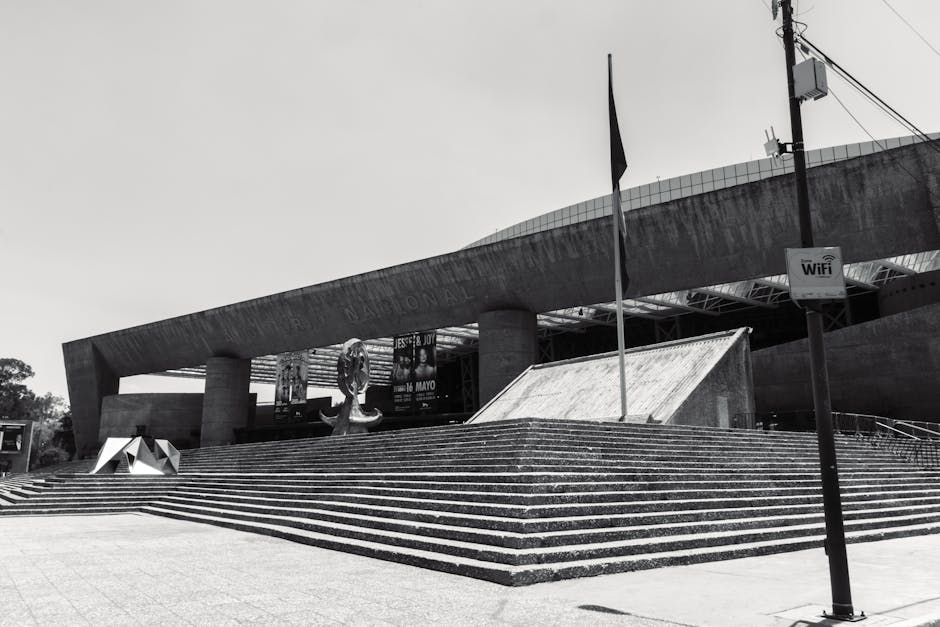 Israyosoy S.https://www.pexels.com/@israyosoyhttps://images.pexels.com/photos/21717684/pexels-photo-21717684.jpeg