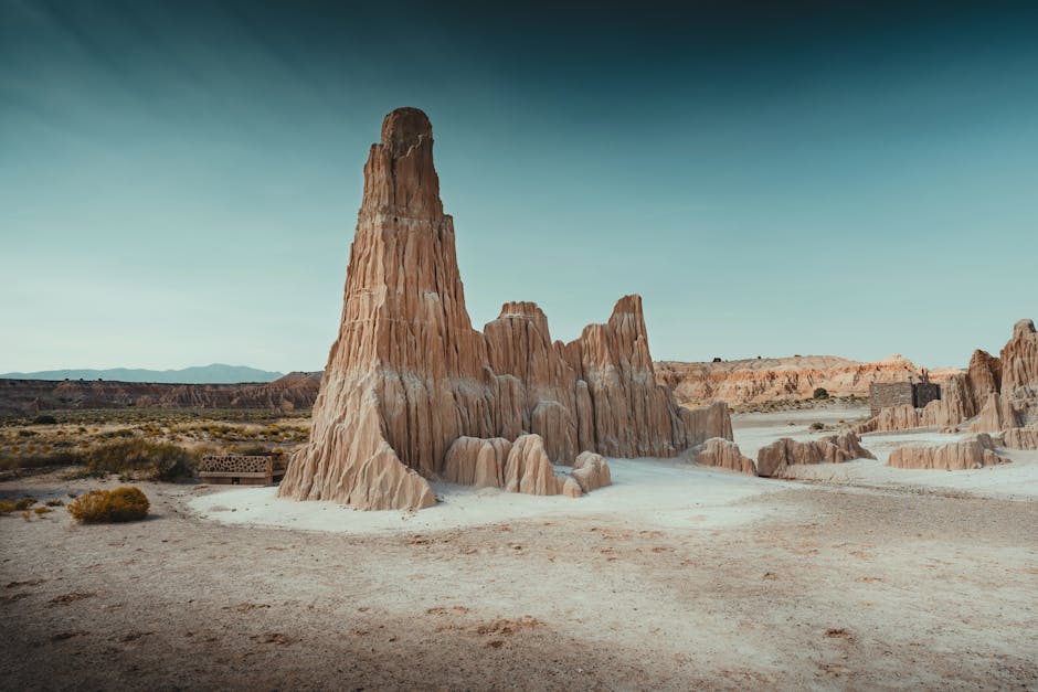 Roberto Lee Corteshttps://www.pexels.com/@lenzatichttps://images.pexels.com/photos/26967664/pexels-photo-26967664.jpeg